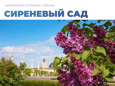 Сиреневый сад в Москве