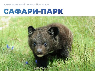 Сафари-парк в Геленджике: естественная среда обитания для животных