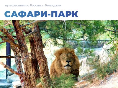 Сафари-парк в Геленджике: естественная среда обитания для животных