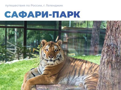 Сафари-парк в Геленджике: естественная среда обитания для животных