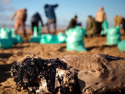 Экологическая катастрофа в Анапе: что случилось и чем это черевато?