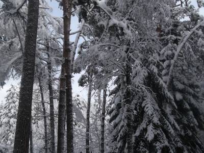 Туристическая база Нарат - Горные курорты Кавказа, Архыз